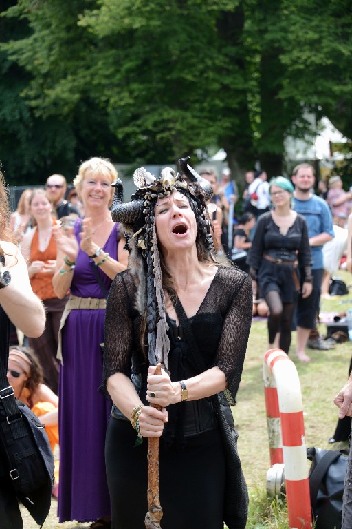 ../Images/Zondag Castlefest 2015 026.jpg